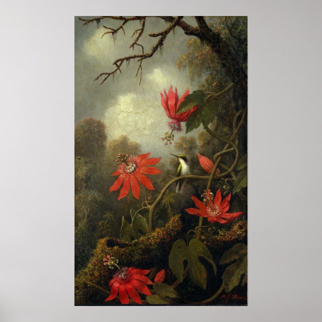 Heade - Hummingbird och Passion Flowers Poster (Framsidan)