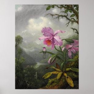 Heade - Hummingbird perched on Orchid Plant Poster