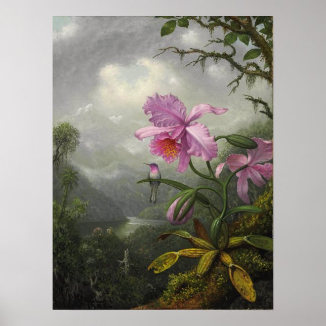 Heade - Hummingbird perched on Orchid Plant Poster (Framsidan)
