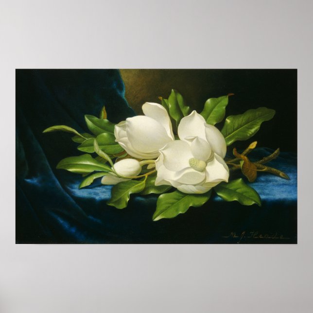 Heade - Jättemagnolior på en blå sammetsduk Poster (Framsidan)