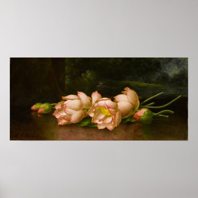 Heade - Lotusblommor Poster (Framsidan)