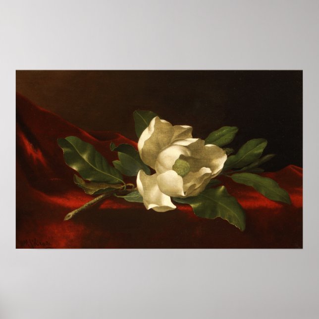 Heade - Magnolia Poster (Framsidan)