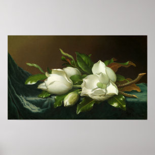 Heade - Magnolias On Light Blue Velvet Trasa Poster