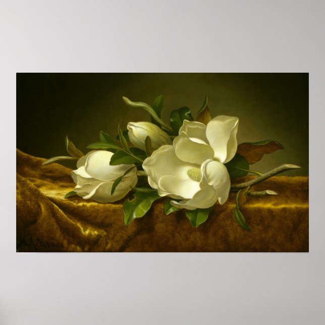 Heade - Magnolias på Guld Velvet Trasa Poster (Framsidan)