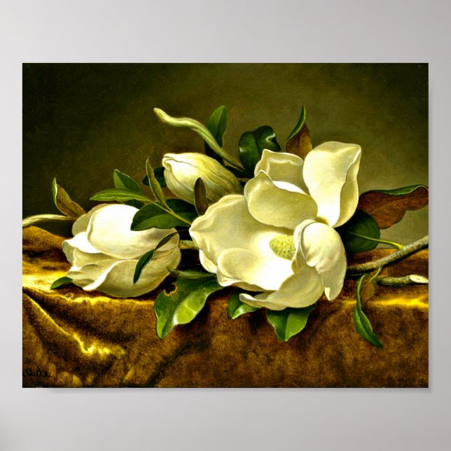 Heade - Magnolias på Guld Velvet Trasa Poster (Framsidan)