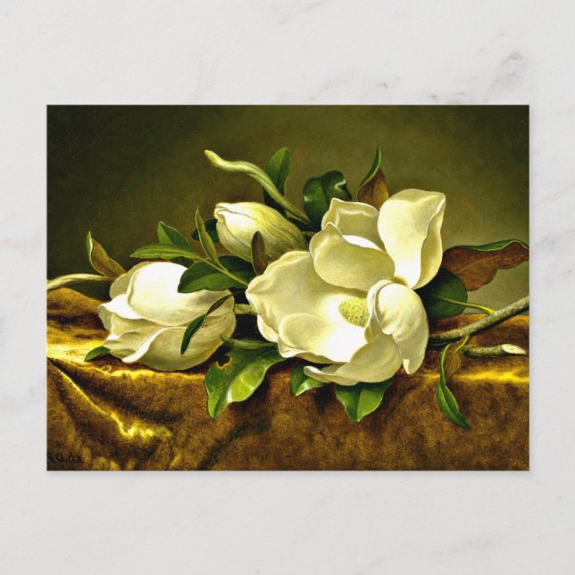 Heade - Magnolias på Guld Velvet Trasa Vykort (Framsida)