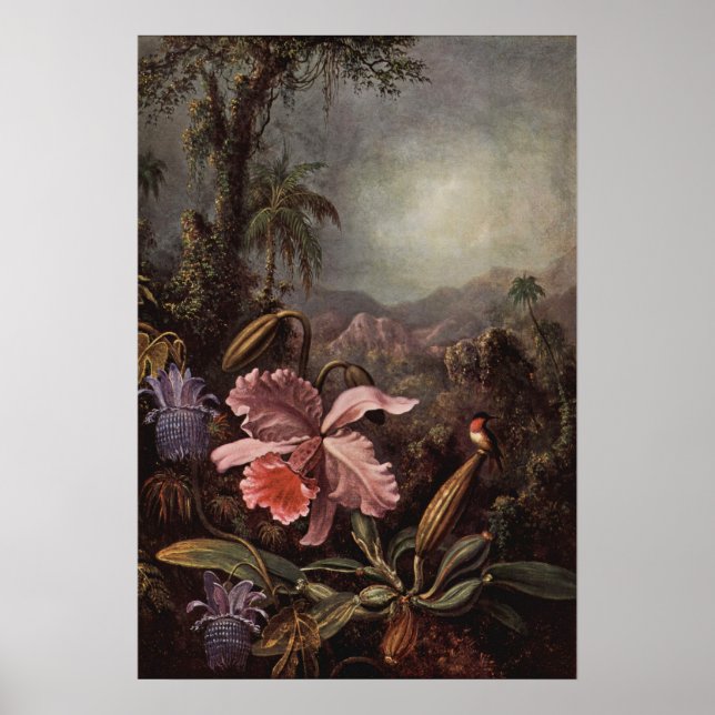 Heade - Orchid och Hummingbird 1880 Poster (Framsidan)