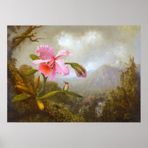 Heade - Orchid och Hummingbird nära vattenfall Poster