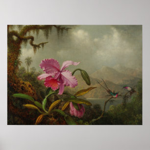Heade - Orkidéer och Hummingbird 1875 Poster