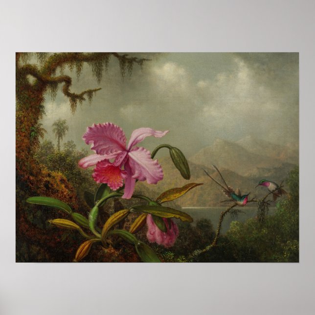 Heade - Orkidéer och Hummingbird 1875 Poster (Framsidan)