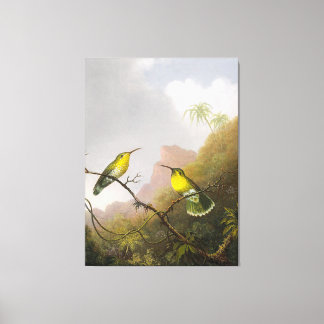 HEADE Two Humming Birds Copper-tailed Amazili - Canvastryck