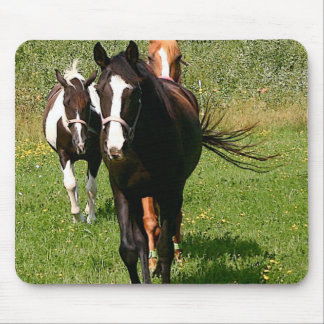 Heading den hem- musen vaddera musmatta