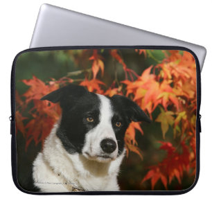 Headshot för gränsColliehöst Laptop Sleeve
