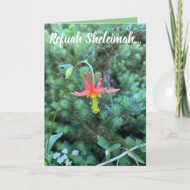 Healbön, Refuah Sheleimah Kort (Framsida)