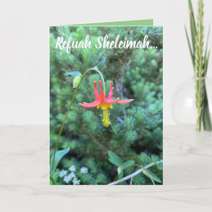 Healbön, Refuah Sheleimah Kort