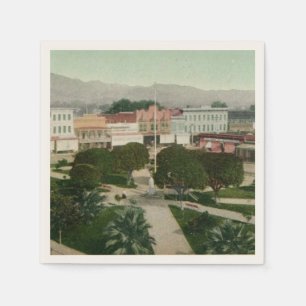 Healdsburg CA Plaza Postcard Pappersservett