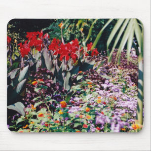 Healing Garden Musmatta