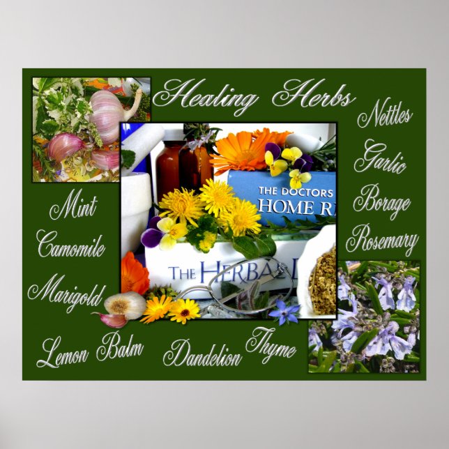 HEALING HERBS ~ Poster (Framsidan)