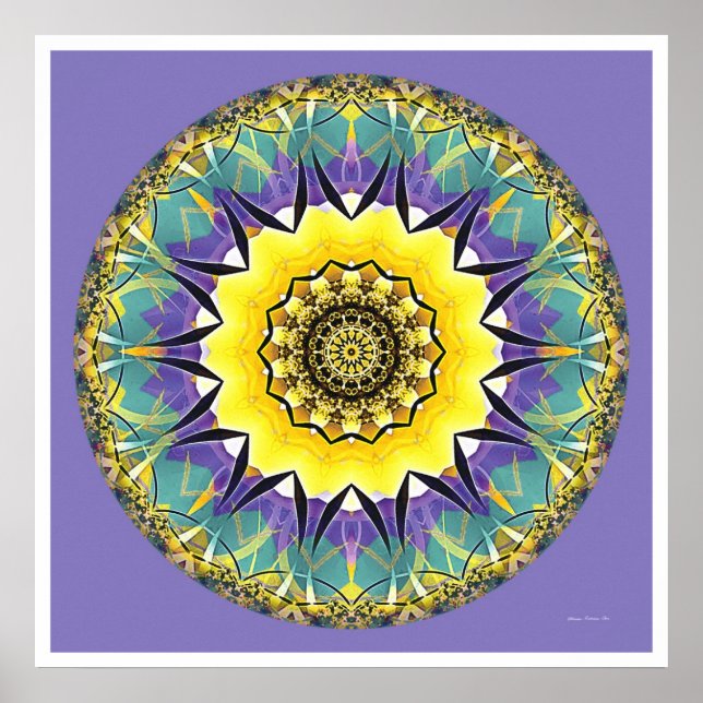 Healing Mandala 5 Poster (Framsidan)