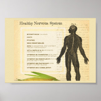 Healthy Nervous System Poster