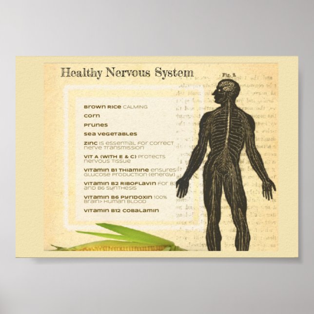 Healthy Nervous System Poster (Framsidan)