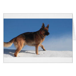 Healthy och Lycklig German Shepherd Hund Hälsningskort