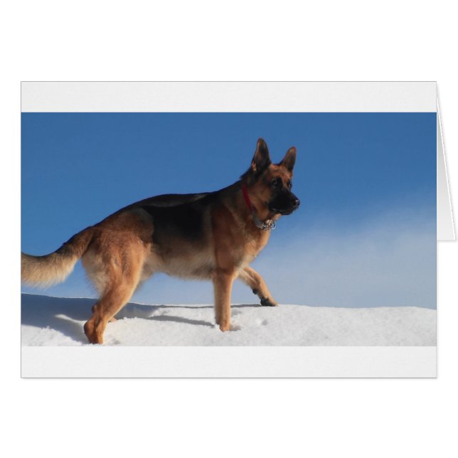 Healthy och Lycklig German Shepherd Hund Hälsningskort (Framsidan Horizontal)