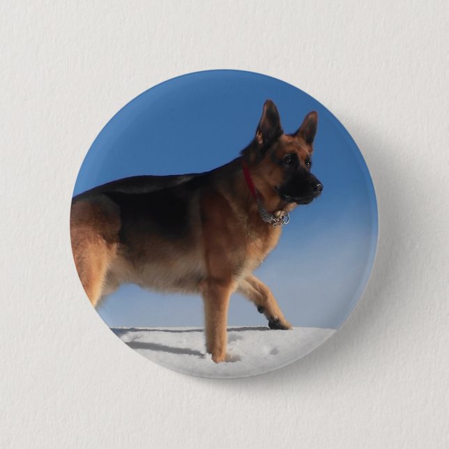 Healthy och Lycklig German Shepherd Hund Knapp (Framsida)