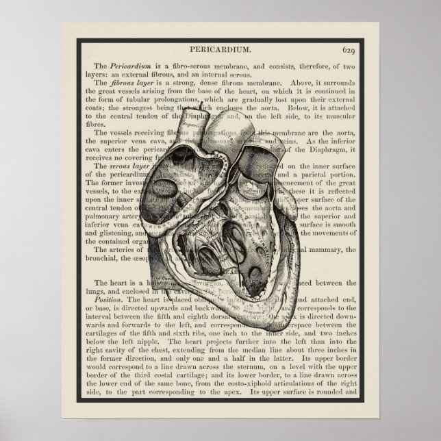 Heart Anatomy Bok Art Print #2 Poster (Framsidan)