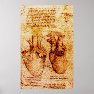Heart, dess blodkärl, Leonardo Da Vinci Brown Poster