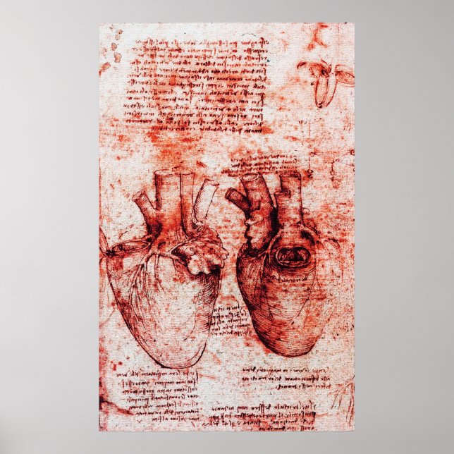 Heart, dess blodkärl, Leonardo Da Vinci Red Poster (Framsidan)