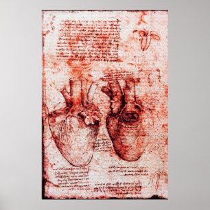 Heart, dess blodkärl, Leonardo Da Vinci Red Poster
