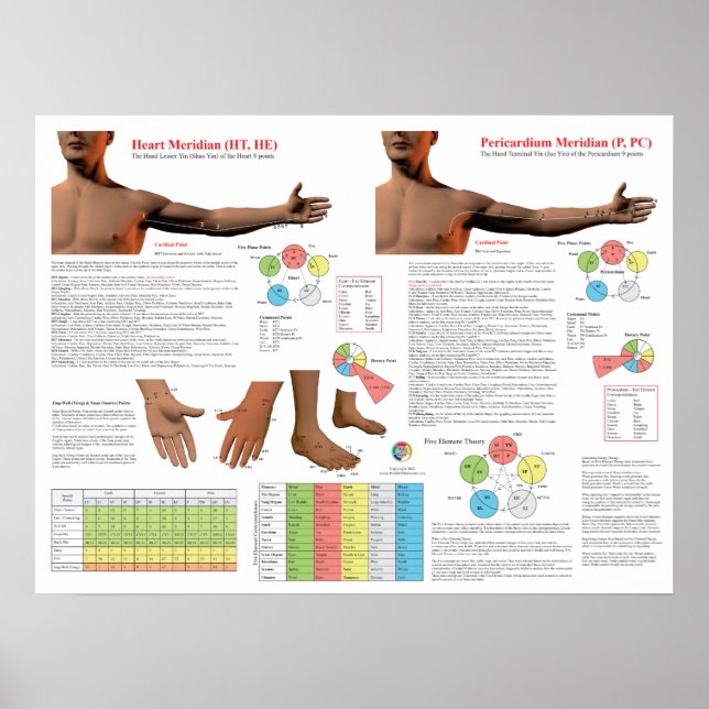 Heart Meridian Acupuncture Points Poster (Framsidan)