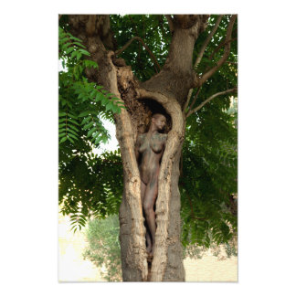 Heart of the Tree by Johannes Stötter Fototryck