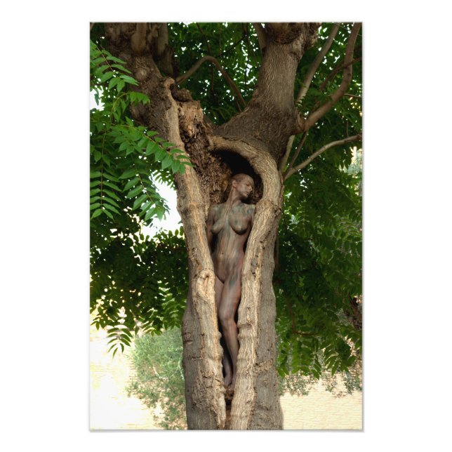 Heart of the Tree by Johannes Stötter Fototryck (Framsidan)