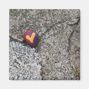Heart Sten och Fossil Sten Magnet