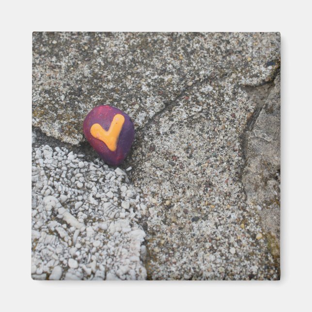 Heart Sten och Fossil Sten Magnet (Framsidan)