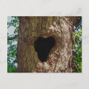 Heart Träd Vykort