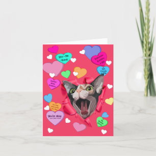 Heartbrytare, shynx Valentine Card Tack Kort