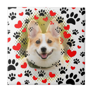 Hearter och Tass avtryck Hund Ram Kakelplatta