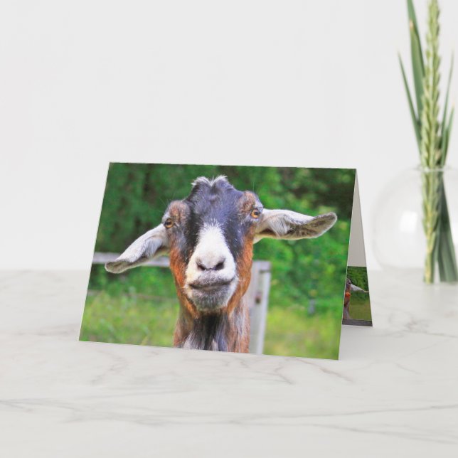 Heartfilt Funny Goat Birthday Kort (Framsida)