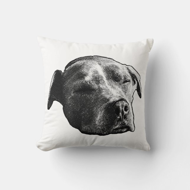 HEarth Whisper Kudde (Framsida)