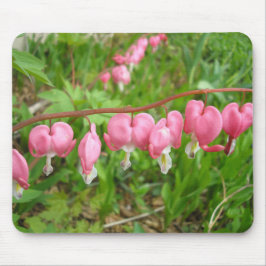 "Hearts Delight!" Musmatta