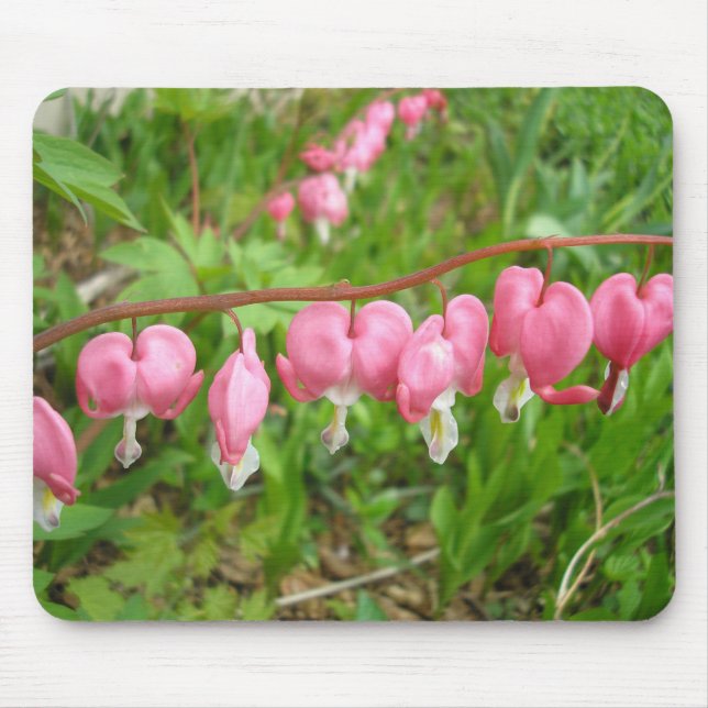 "Hearts Delight!" Musmatta (Framsidan)