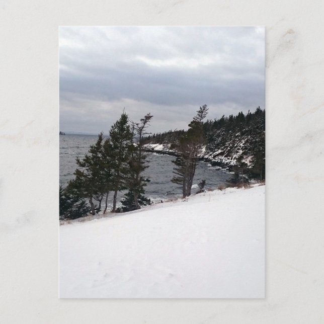 Heart's Delight Vykort (Framsida)