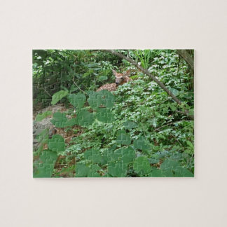 Hearts FAWN! — Pussel