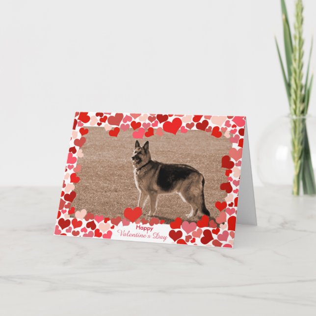 Hearts German Shepherd Valentine Day Photo Card Helgkort (Framsida)