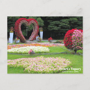 Heart's Topary:vykort Vykort