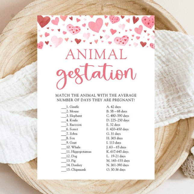 Hearts Valentine Baby Shower Animal Gestation Game Inbjudningar (Watercolor Cute Pink Red Hearts Valentine A Little Sweetheart Girl Animal Gestation Baby Shower Game)