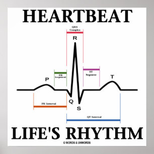 Heartslag Life's Rhythm (ECG/EKG Heartslag) Poster